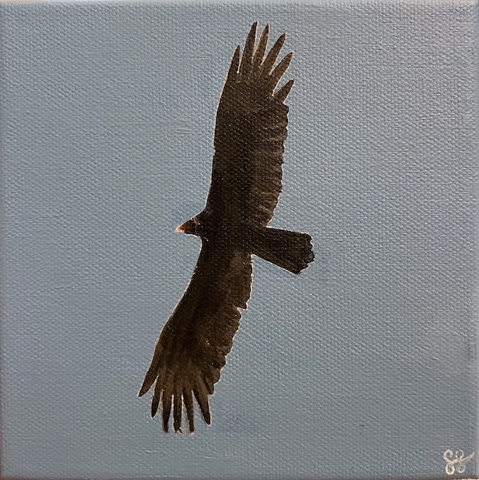 A bird of prey is shown from below. Its wings are outstretched and silhouetted against a light blue sky